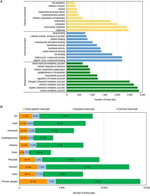 A Novel Full-Length Transcriptome Resource for Black Tiger Shrimp (Penaeus monodon) Developed Using Isoform Sequencing (Iso-Seq)